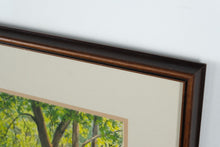 Load image into Gallery viewer, “Hidden Cascade” – Original Watercolor by John Wicker (17&quot; x 21&quot;)
