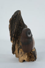 Load image into Gallery viewer, Bryan Whaley Hand Carved Owl Sculpture Wood Burl Driftwood Art
