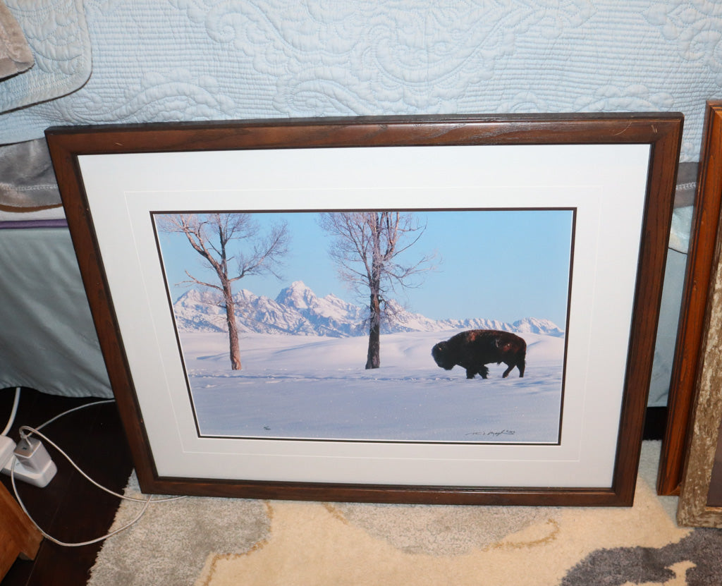 Thomas D. Mangelsen “Buffalo in Winter” – Framed Wildlife Photography Print