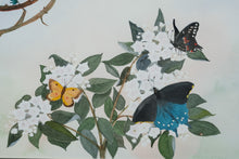 Load image into Gallery viewer, “Butterflies and Blossoms” – Original Watercolor by Alida Tucker (21&quot; x 18&quot;)
