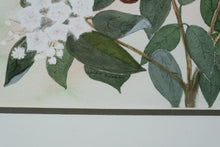 Load image into Gallery viewer, “Butterflies and Blossoms” – Original Watercolor by Alida Tucker (21&quot; x 18&quot;)
