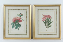 Load image into Gallery viewer, Pair of P.J. Redouté Botanical Prints – Pivoine de la Chine &amp; Laurier Rose – Framed Floral Art Set, Gold Frames 15.5” x 19.5”
