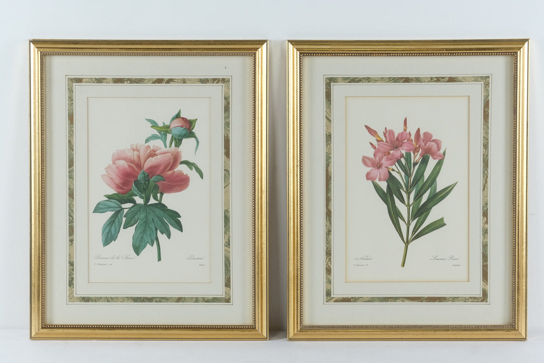 Pair of P.J. Redouté Botanical Prints – Pivoine de la Chine & Laurier Rose – Framed Floral Art Set, Gold Frames 15.5” x 19.5”