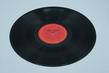 Load image into Gallery viewer, Lazy Afternoon: Barbara Streisand
