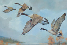 Load image into Gallery viewer, Ruane Manning Canadian Geese Vintage 1993 Framed Wildlife Art Print 26 x 22
