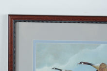 Load image into Gallery viewer, Ruane Manning Canadian Geese Vintage 1993 Framed Wildlife Art Print 26 x 22
