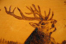 Load image into Gallery viewer, Carved Red Deer Plate - Black Forest
