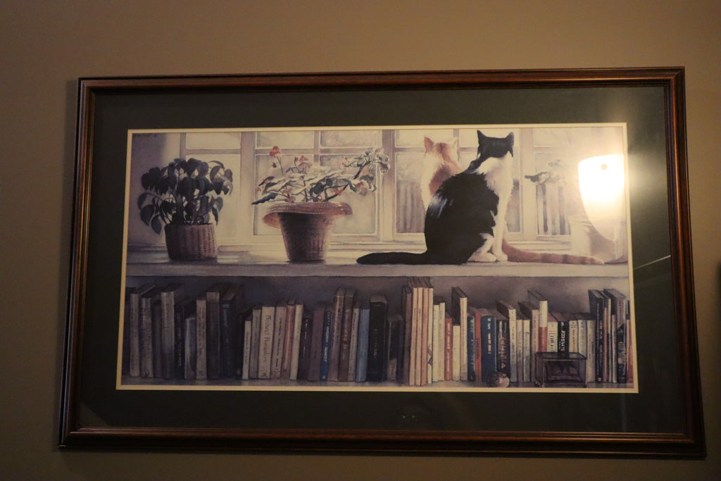 “Book Ends” by Steve Hanks – Framed Print of Two Cats on a Bookshelf
