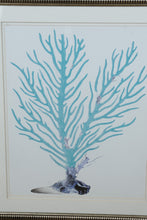 Load image into Gallery viewer, Coral Collection II Framed Wall Art Blue Coral Print Coastal Decor
