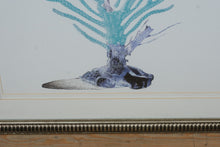 Load image into Gallery viewer, Coral Collection II Framed Wall Art Blue Coral Print Coastal Decor
