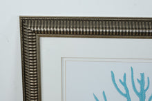 Load image into Gallery viewer, Coral Collection II Framed Wall Art Blue Coral Print Coastal Decor
