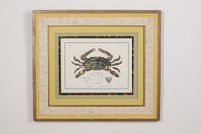 Load image into Gallery viewer, &quot;Crustacea Tab X&quot; John Richard Crabs 35 x 30
