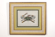 Load image into Gallery viewer, &quot;Crustacea Tav IX&quot; John Richard Crabs 35 x 30
