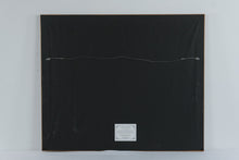 Load image into Gallery viewer, Charles L Peterson Days of Summer Signed Limited Edition Print 2462 of 2600
