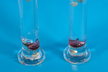 Load image into Gallery viewer, Pair of Galileo Thermometers – Colorful Floating Glass Temperature Gauges (Matching Set of 2)
