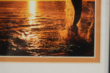 Load image into Gallery viewer, Mark J Thomas Sunset Celebration Bottlenose Dolphins Framed Photo Triptych
