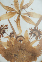 Load image into Gallery viewer, Framed Real Pressed Flower Botanical Art Ornate Gold Oval Frame 12 Inch
