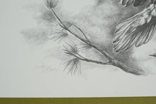 Load image into Gallery viewer, Sharon Meiley Signed Bald Eagle Wildlife Art Print 1990 DuPont Limited Edition
