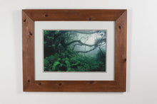 Load image into Gallery viewer, Eden - Framed Photograph - G Newton
