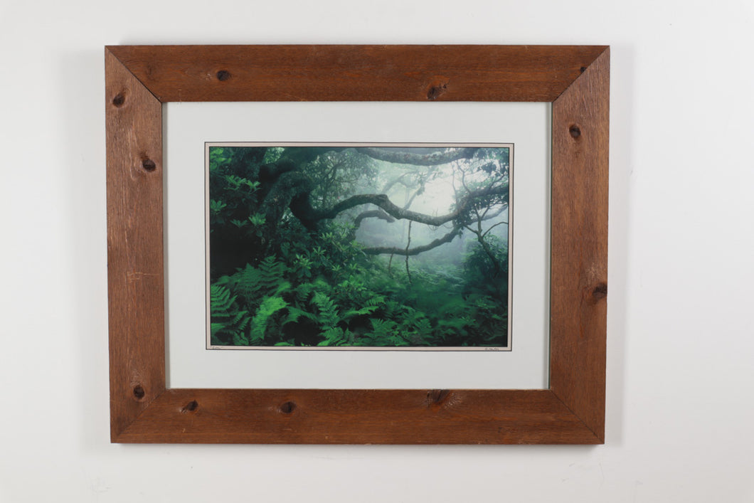 Eden - Framed Photograph - G Newton