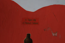 Load image into Gallery viewer, Tiger Lily Robert Tolone Elephant and Rhino Wooden Wall Hooks Hand Painted Folk Art
