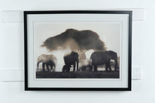 Load image into Gallery viewer, Martyn Colbeck Elephant Silhouettes Wildlife Photography Print Framed Wall Art 32x24
