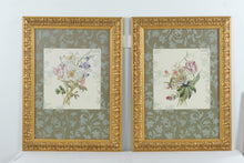 Load image into Gallery viewer, Lexington Home Accessories Botanical Wall Art Set Gold Frame LX1 1014B Pair
