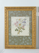 Load image into Gallery viewer, Lexington Home Accessories Botanical Wall Art Set Gold Frame LX1 1014B Pair
