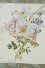 Load image into Gallery viewer, Lexington Home Accessories Botanical Wall Art Set Gold Frame LX1 1014B Pair
