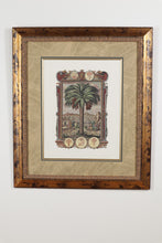 Load image into Gallery viewer, Judea FISCI IVDAICI CALVMNIA SVBLATA S C - Framed Palm Print
