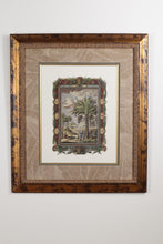 Load image into Gallery viewer, Pair Framed Palm Tree Botanical Engravings Classical Style Prints 25 x 29
