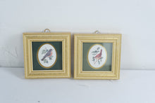 Load image into Gallery viewer, Heartfelt Collection Kathy Seck Feathered Friends Robin Wren Framed Bird Prints 1994
