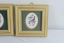 Load image into Gallery viewer, Heartfelt Collection Kathy Seck Feathered Friends Robin Wren Framed Bird Prints 1994
