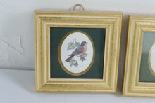 Load image into Gallery viewer, Heartfelt Collection Kathy Seck Feathered Friends Robin Wren Framed Bird Prints 1994
