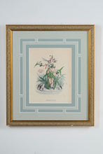 Load image into Gallery viewer, The Animated Flowers - Arrowhead - Grandville
