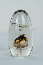 Load image into Gallery viewer, Signed Studio Art Glass Paperweight Abstract Internal Sculpture Clear Amber Form
