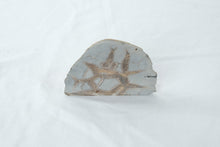 Load image into Gallery viewer, Septarian Nodule Polished Slice Natural Stone Display Specimen 3.75 Inch
