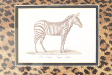 Load image into Gallery viewer, Framed Zebra Print

