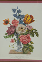 Load image into Gallery viewer, Pair of Framed Jean-Louis Prévost Style Floral Lithographs – Vase Verre de Couleur &amp; Vase de Venise (22&quot; x 26&quot;)
