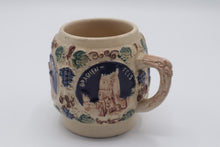 Load image into Gallery viewer, Foley and Robinson Western Germany Castle Relief Pottery Beer Stein Mug

