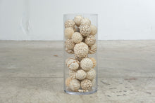 Load image into Gallery viewer, JL Decorative Natural Shell and Wood Orb Vase Filler Bowl Filler Coastal Decor
