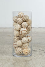 Load image into Gallery viewer, JL Decorative Natural Shell and Wood Orb Vase Filler Bowl Filler Coastal Decor
