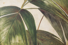 Load image into Gallery viewer, Green Plant Print-La Palmera by Patricia Pinto
