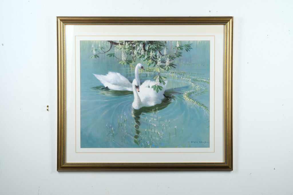 “Harmony of Spring” by Vernon Ward – Framed Swan Art Print – 28