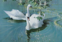 Load image into Gallery viewer, “Harmony of Spring” by Vernon Ward – Framed Swan Art Print – 28&quot; x 32&quot;
