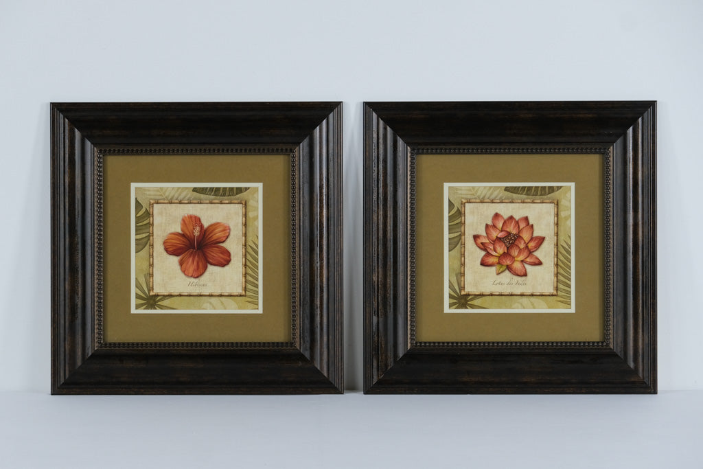 Set of 2 Tropical Flower Prints – “Hibiscus” & “Lotus des Indes” – Framed Wall Art, 18” Square Each