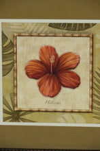 Load image into Gallery viewer, Set of 2 Tropical Flower Prints – “Hibiscus” &amp; “Lotus des Indes” – Framed Wall Art, 18” Square Each
