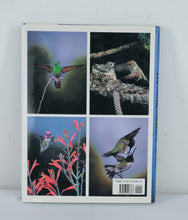 Load image into Gallery viewer, Hummingbirds: Their Life and Behavior – A Photographic Study of the North American Species
