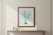 Load image into Gallery viewer, Coral Collection II Framed Wall Art Blue Coral Print Coastal Decor
