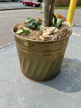 Load image into Gallery viewer, Tall Artificial Ficus Tree in Decorative Planter – 85&quot; Height
